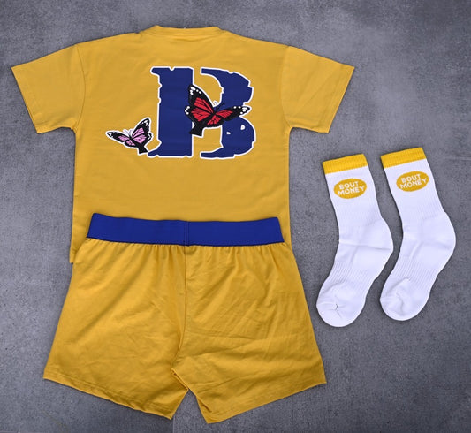 Passenger Princess Set